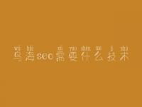 乌海seo需要什么技术，网络推广seo优化