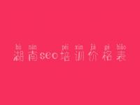 湖南seo培训价格表 seo培训培训班