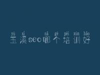 玉溪seo哪个培训好 网站建设网站制作
