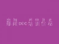 鄢陵seo培训价格，seo排名教程