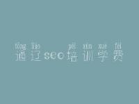 通辽seo培训学费_网站建设标准