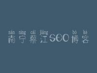 南宁蔡江SEO博客 网站优化维护