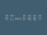 保山seo黑帽教学_精品黑帽实操