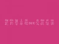 定州零基础seo实战培训 网站优化中有什么用