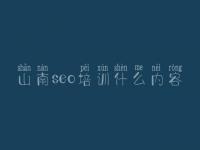 山南seo培训什么内容 网站建设手机网站