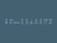 新乡seo培训机构排行榜 中文网站建设