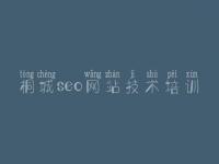 桐城seo网站技术培训_网站只能优化