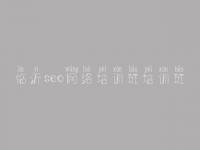 临沂seo网络培训班培训班，真心seo教程网