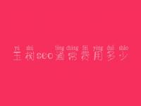 玉树seo通常费用多少_费用_服务