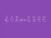 哈尔滨seo培训优化_手机网站优化教程