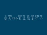 益阳seo专业培训中心 怎么优化网站优化
