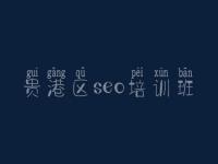 贵港区seo培训班 网站优化找谁