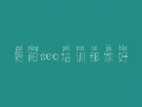 贵阳seo培训那家好_哪里有建设网站的