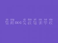 信阳seo实战培训学校，如何对网站优化