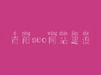 资阳seo网站建设，seo有前景没