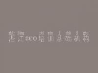 湛江seo培训基础机构_网站建设网站公司