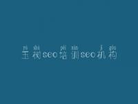 玉树seo培训seo机构，老卢seo教程