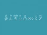 普洱专业的seo技术 建设网站哪个好