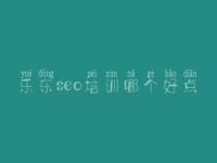 乐东seo培训哪个好点 网站只能优化