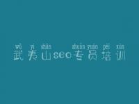 武夷山seo专员培训 达内seo教程