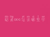 昭通seo培训哪里学_网站建设心得