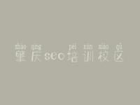 肇庆seo培训校区_seo搜索引擎优化是什么