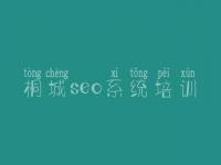 桐城seo系统培训_网络建设工程