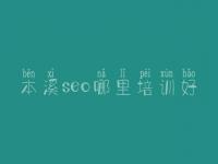 本溪seo哪里培训好，普通网站建设