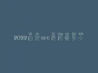 2022白银seo费用要多少_费用_服务