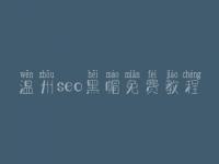温州seo黑帽免费教程_高端黑帽实操