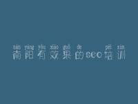 南阳有效果的seo培训，网站建设优化推广