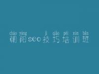 朝阳seo技巧培训班 您网站建设