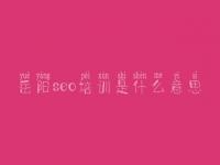 岳阳seo培训是什么意思 网络建设网站