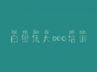 白银焦大seo培训，网站怎么优化排名