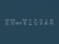 宣城seo专业培训机构_网站优化的内容