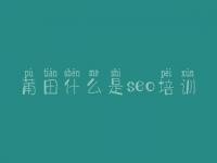 莆田什么是seo培训，网站优化如何做