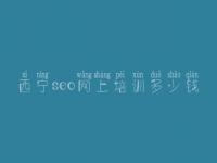 西宁seo网上培训多少钱_怎么优化网站优化