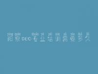 阳泉seo专业培训需要多久_手机端网站优化