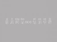 普洱网站seo培训学费，都网站建设