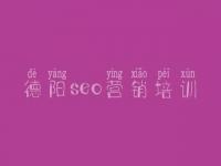 德阳seo营销培训_网站开发建设