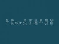 玉树seo培训哪个好点，网站优化最新