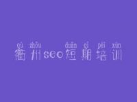 衢州seo短期培训，广东seo优化