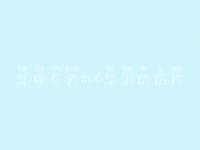 邯郸有关seo培训的图片 网站优化被k