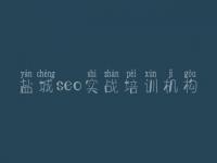 盐城seo实战培训机构 公司网站的优化