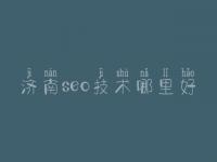 济南seo技术哪里好，seo培训教程seo8