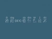 德阳seo要什么技术 网站排名优化教程