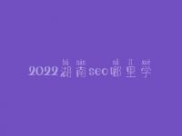 2022湖南seo哪里学_收费_联系方式