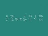 资阳seo培训介绍_网站建设软件公司