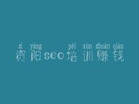 资阳seo培训赚钱_什么是搜索优化