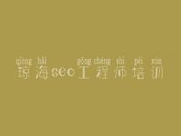琼海seo工程师培训_网站怎样优化